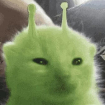 RarePupperVA